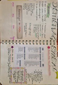 Pages de mon bullet journal